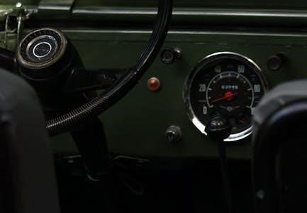 grasslin timer manual