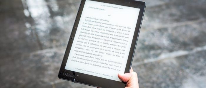 merp pdf