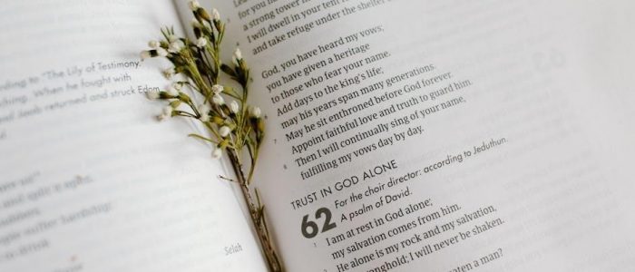 book-by-book bible breakdowns pdf
