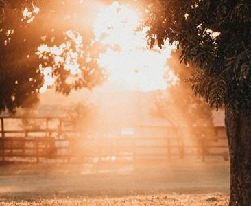 golden hour pdf